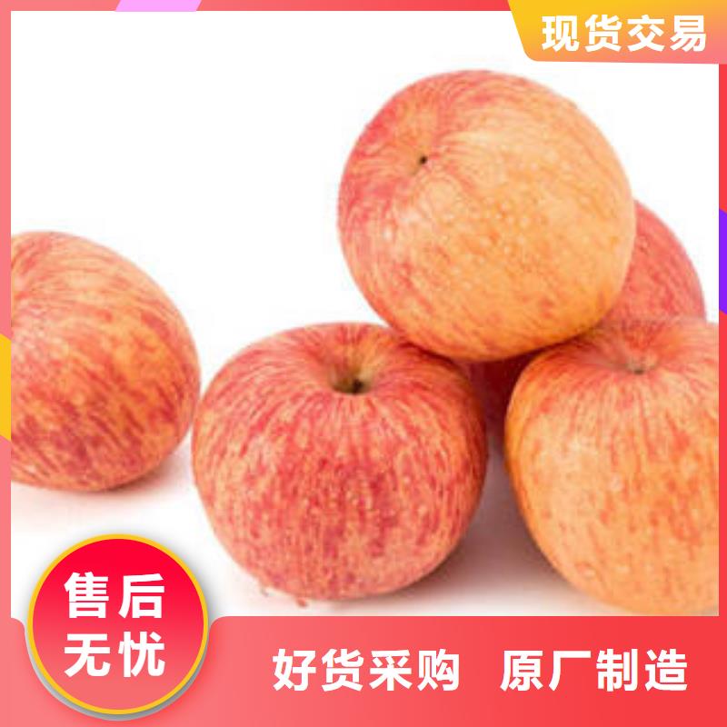 红富士苹果实力厂家