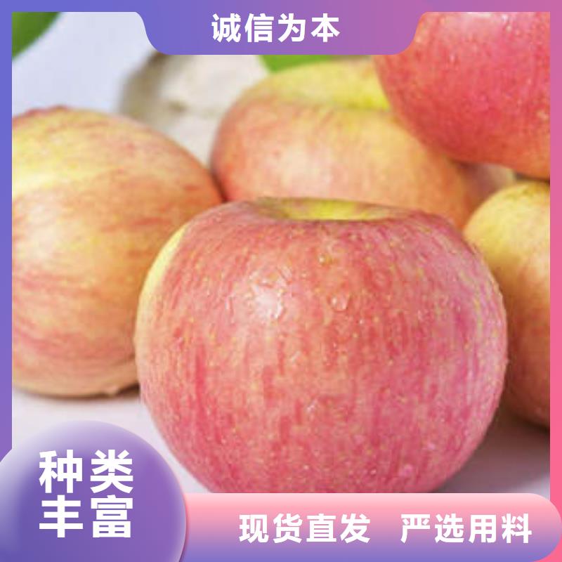 红富士苹果_嘎啦苹果定制批发