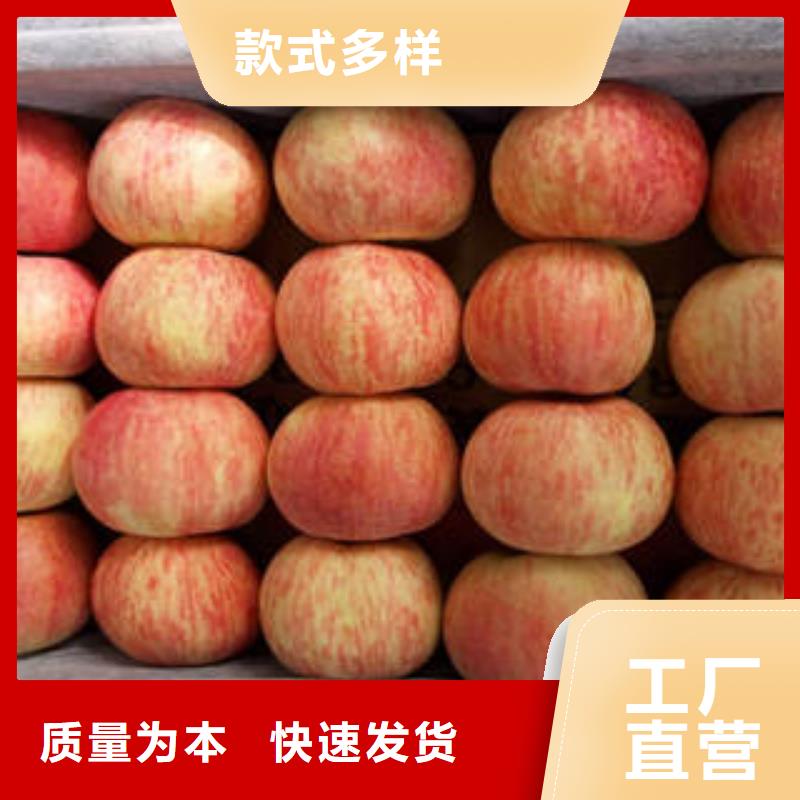 红富士苹果红富士苹果批发现货