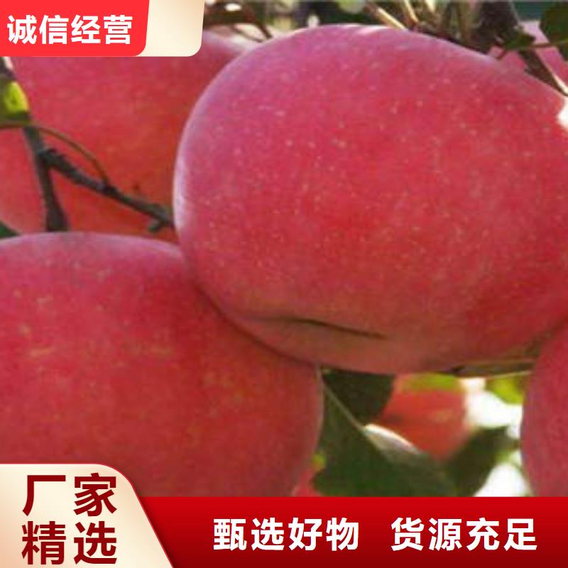 红富士苹果红富士苹果产地做工细致