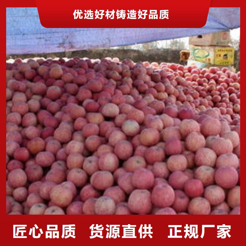 红富士苹果苹果信誉有保证