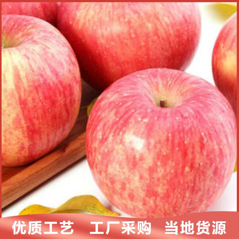 红富士苹果苹果种植基地产地货源