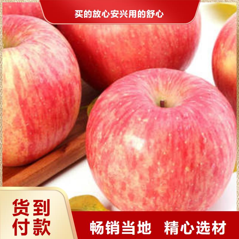 红富士苹果苹果免费寄样