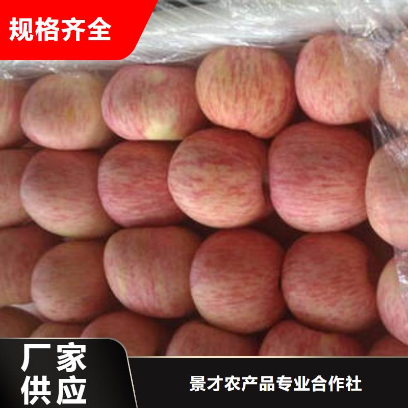 红富士苹果嘎啦苹果好品质经得住考验