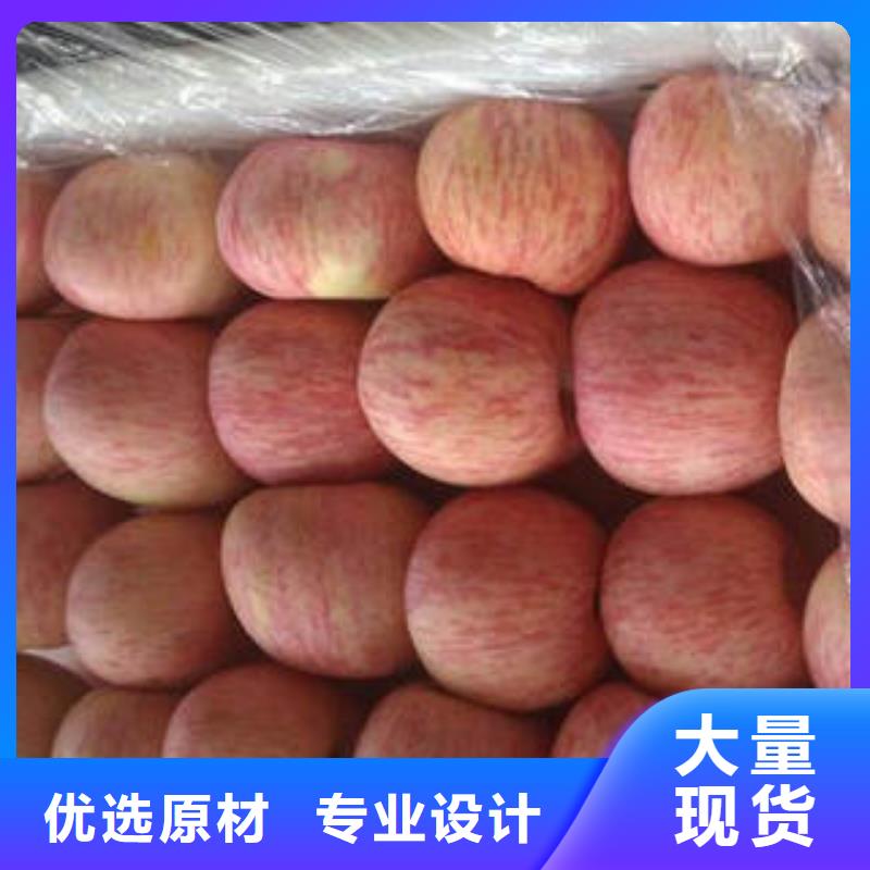 红富士苹果苹果种植基地大厂生产品质