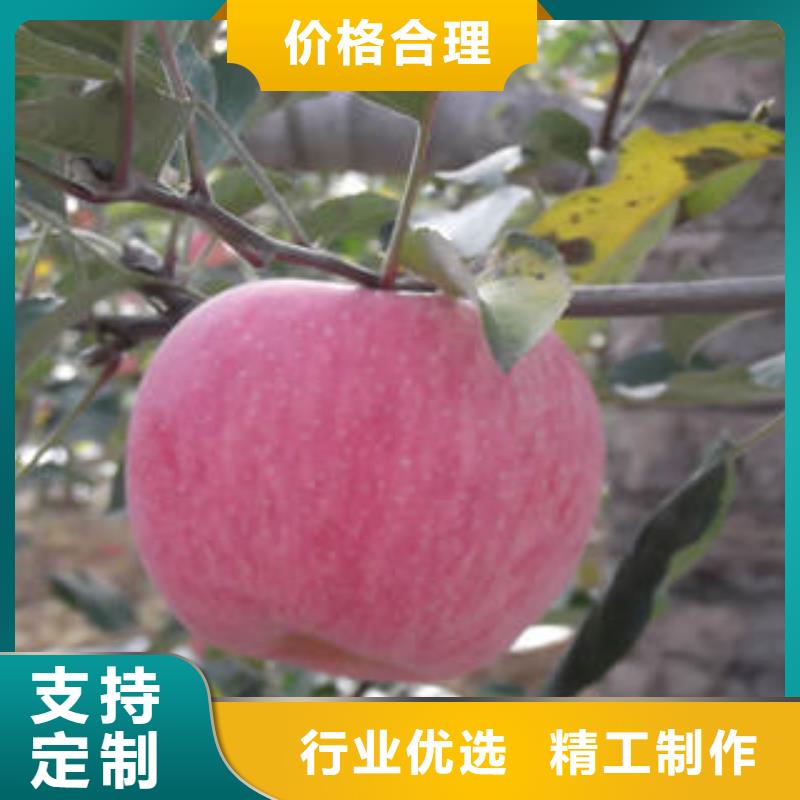 红富士苹果嘎啦苹果注重细节