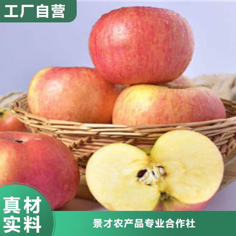 红富士苹果追求细节品质