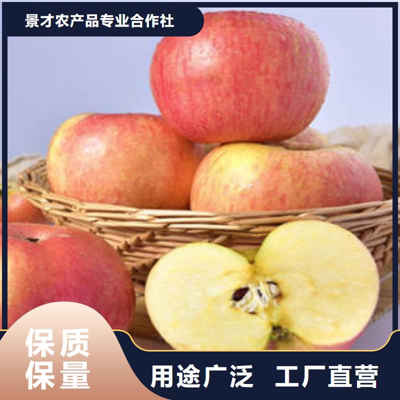 红富士苹果,嘎啦果厂家销售