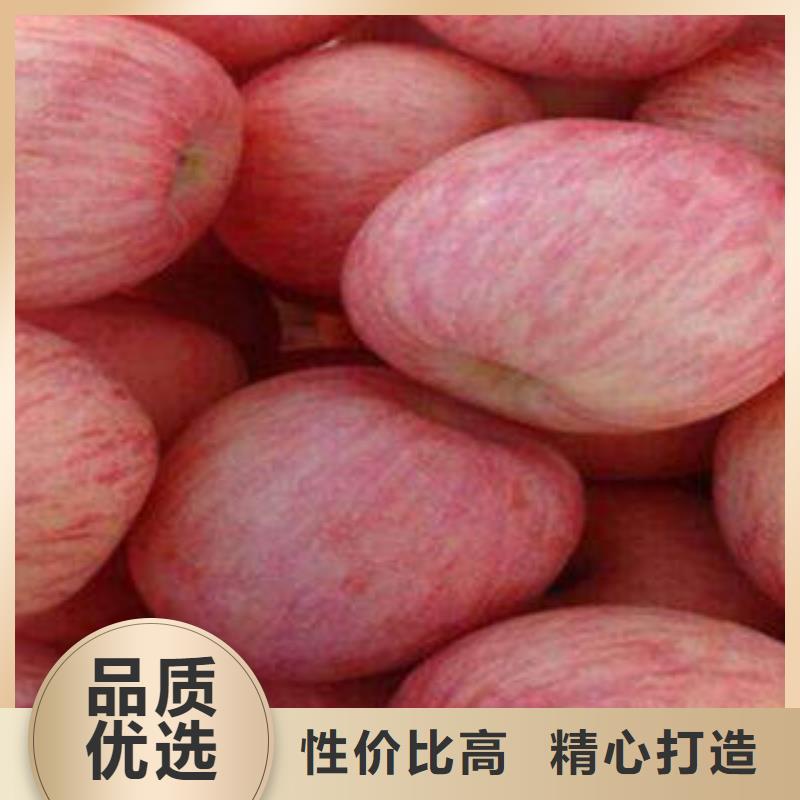 红富士苹果追求细节品质