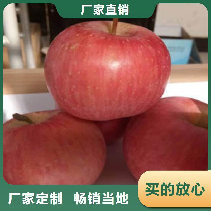 红富士苹果苹果信誉有保证