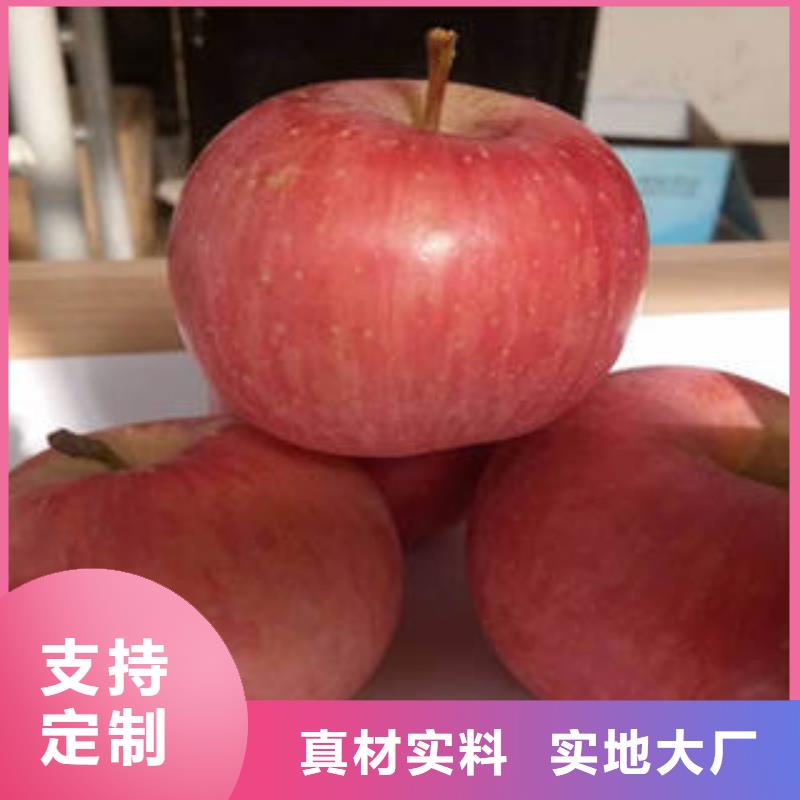 红富士苹果嘎啦苹果好品质经得住考验