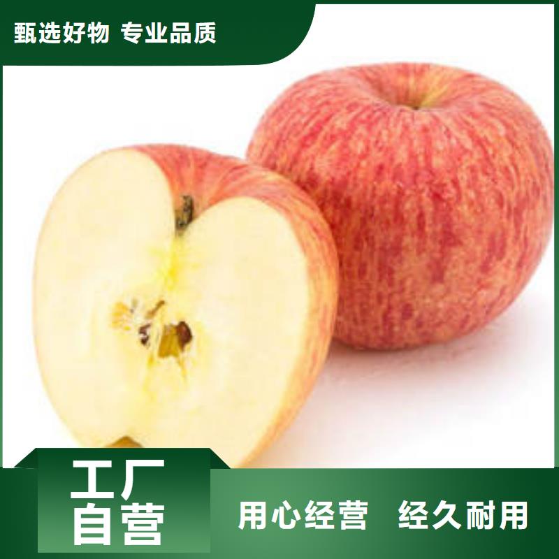 红富士苹果_红富士苹果批发制造厂家
