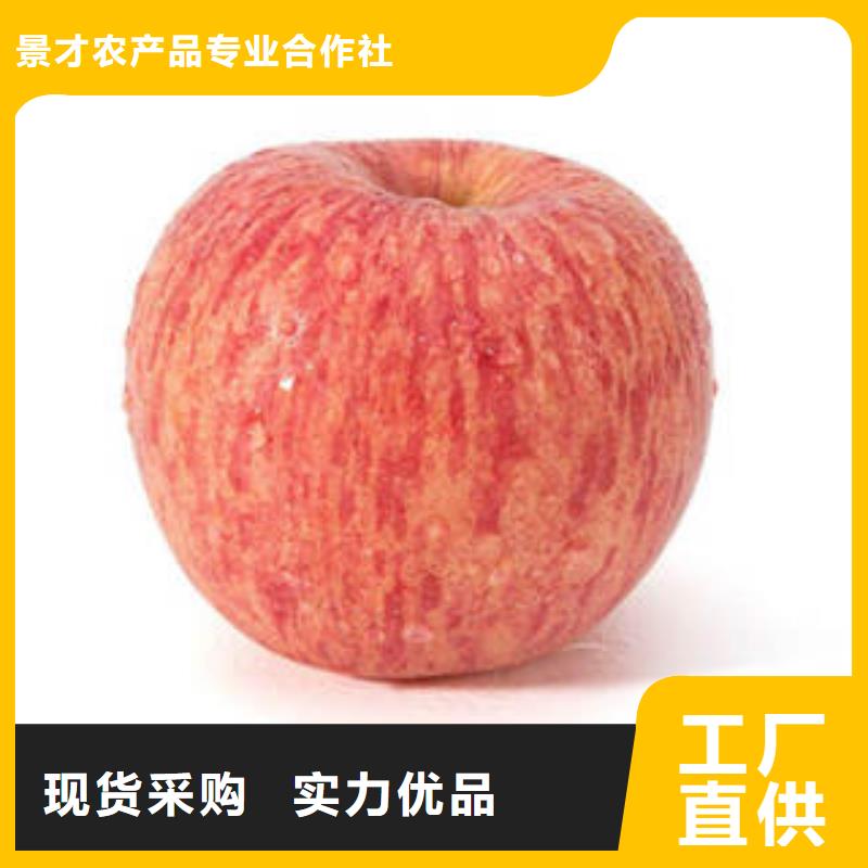 红富士苹果_苹果种植基地苹果种植基地自有生产工厂