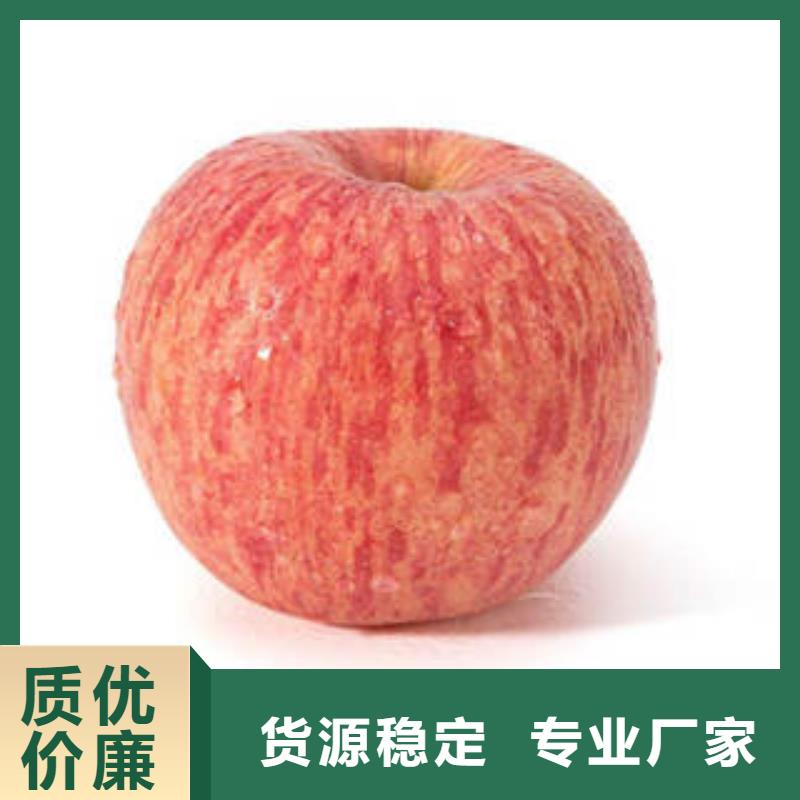 红富士苹果实力厂家