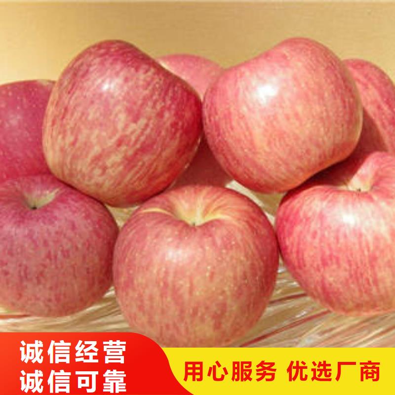 红富士苹果嘎啦苹果价格合理