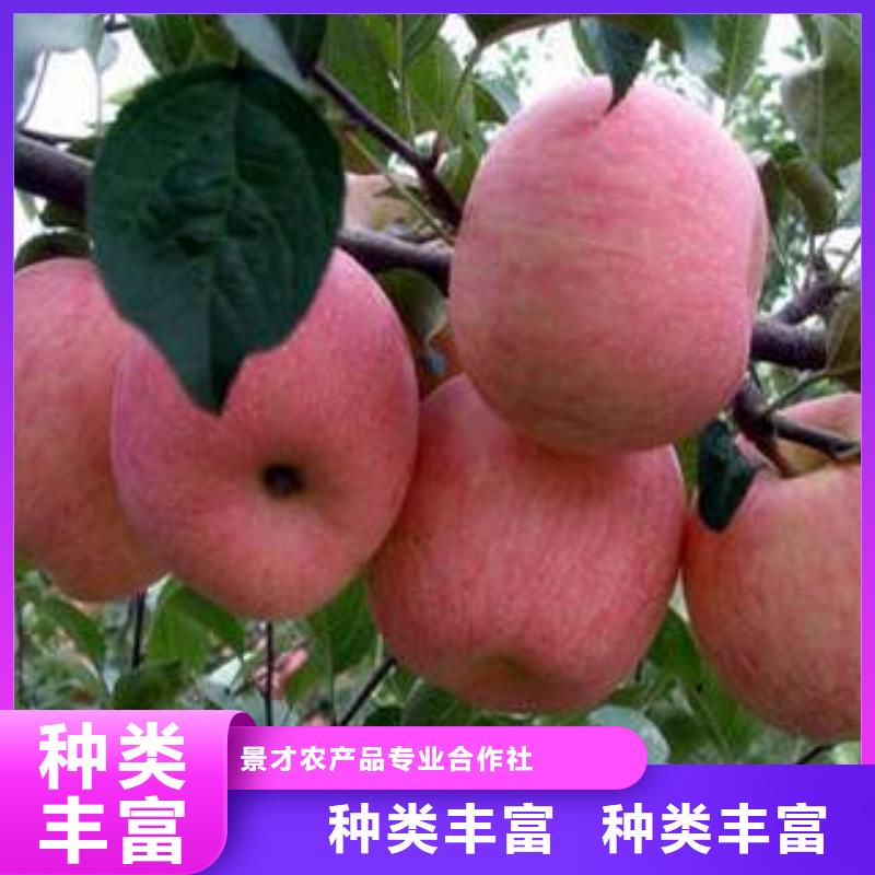 红富士苹果实力优品