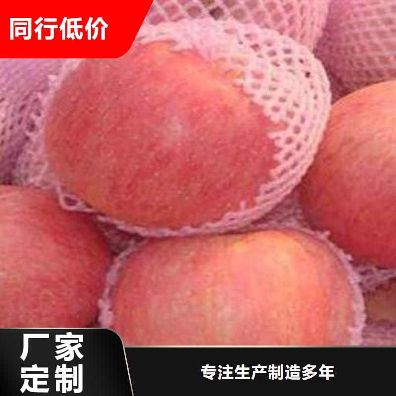 红富士苹果苹果种植基地规格齐全实力厂家