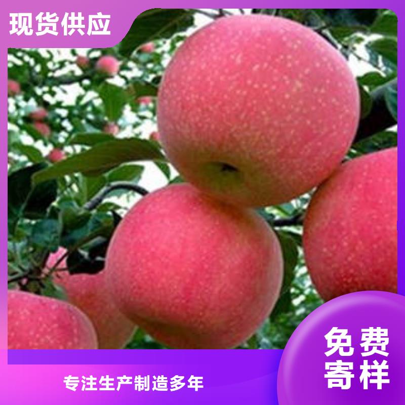 红富士苹果-嘎啦苹果量大从优