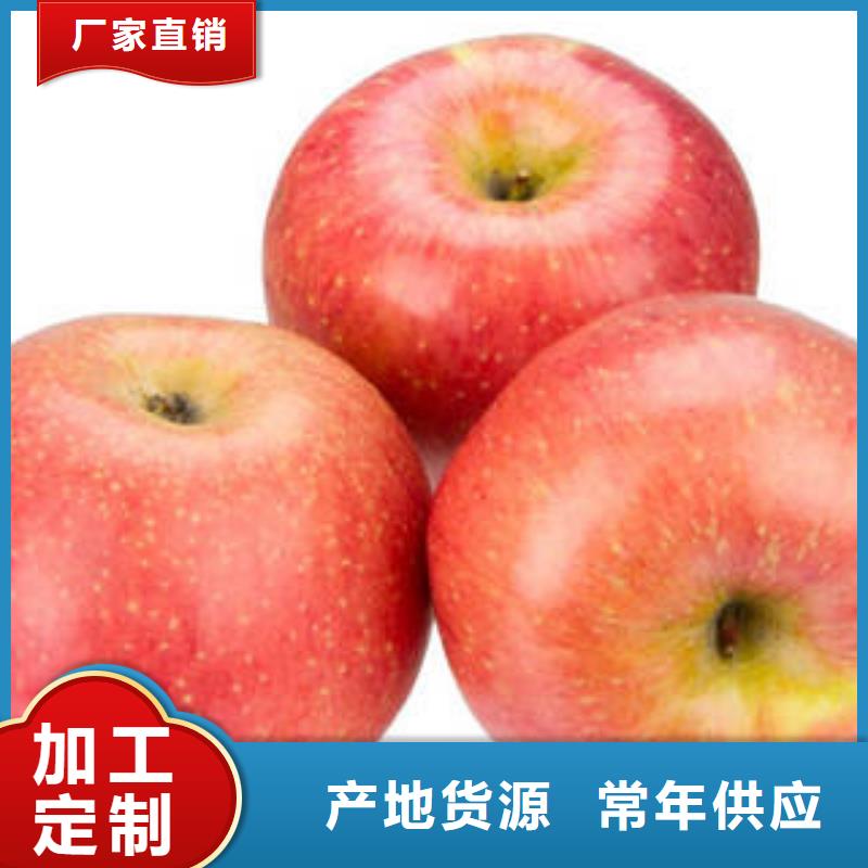 红富士苹果嘎啦苹果价格合理