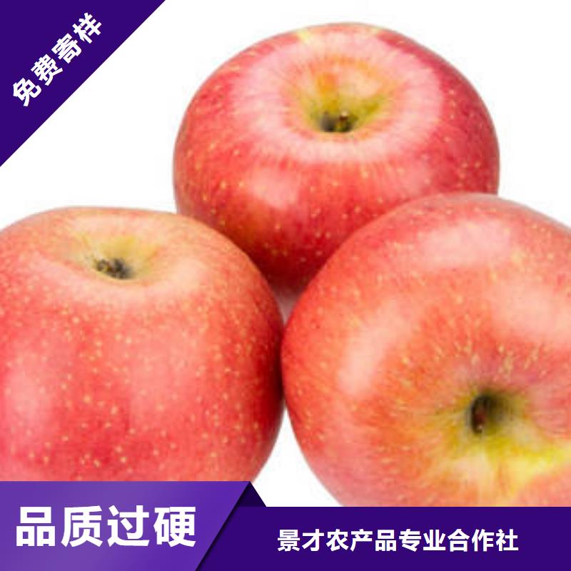红富士苹果-嘎啦苹果量大从优