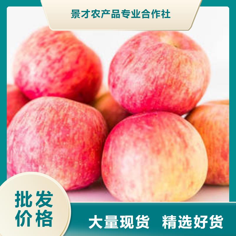 红富士苹果大厂家实力看得见