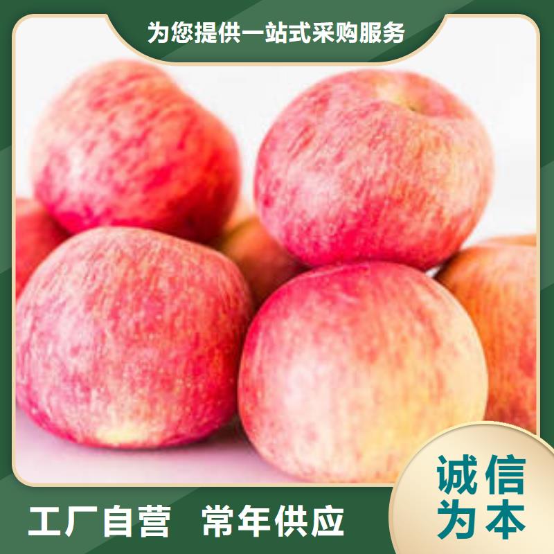 红富士苹果-嘎啦苹果量大从优