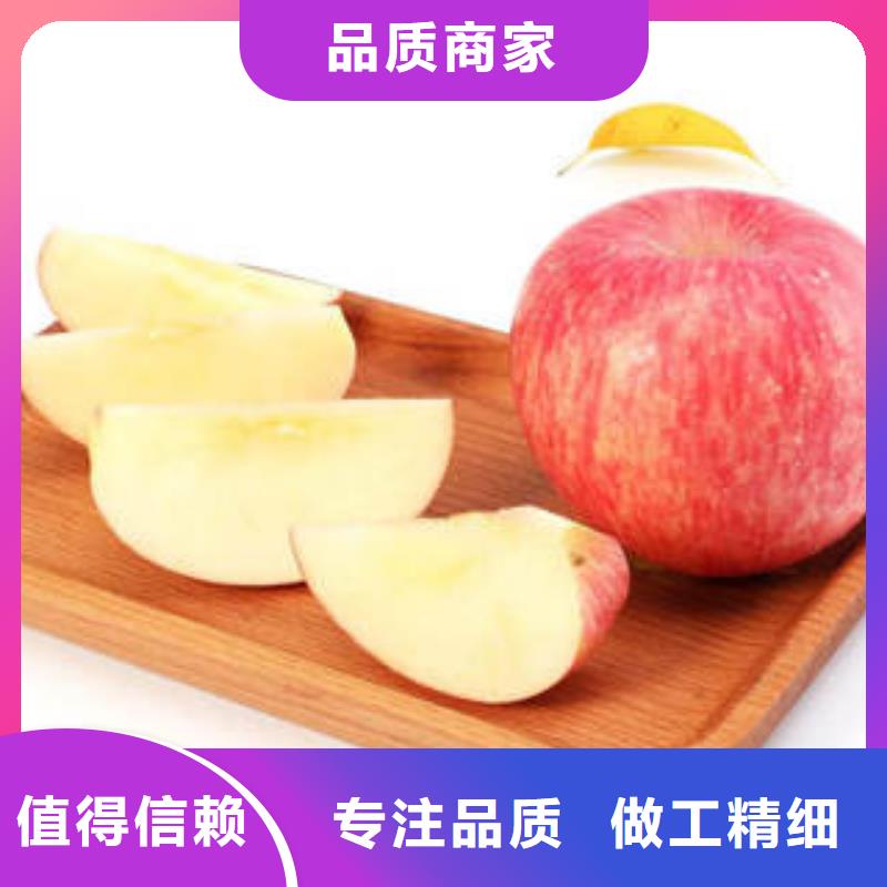 红富士苹果嘎啦苹果价格合理