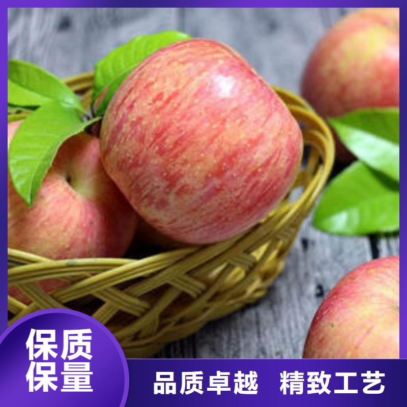 红富士苹果-嘎啦苹果量大从优