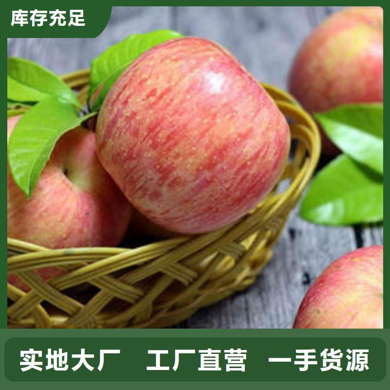 红富士苹果嘎啦苹果好品质经得住考验