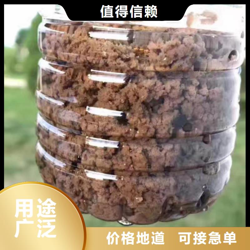 活性炭-视频-活性炭-乐科环保科技(海南省分公司)服务区域海口|三亚