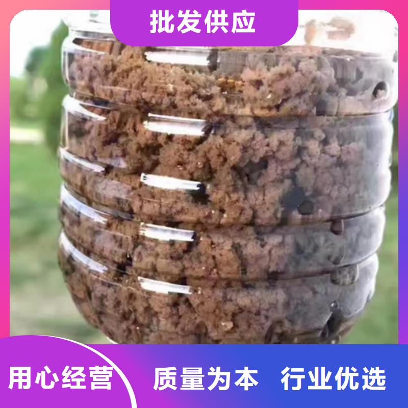 活性炭-视频-活性炭-乐科环保科技(海南省分公司)服务区域海口|三亚