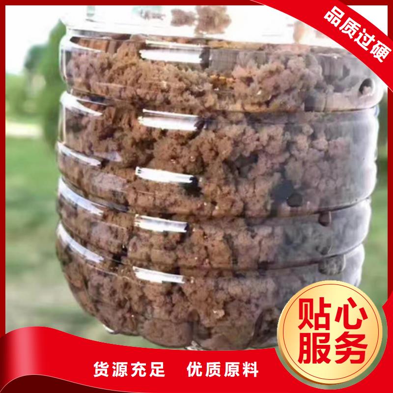 活性炭视频-活性炭_海南省市场覆盖三亚|海口等