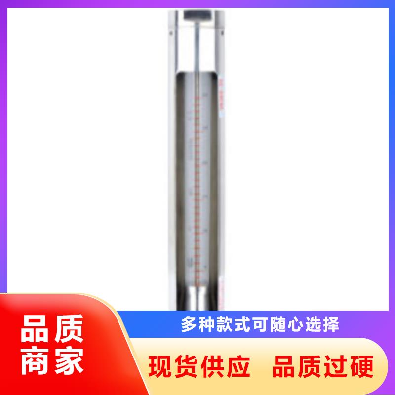 G10,氮气流量计质优价保