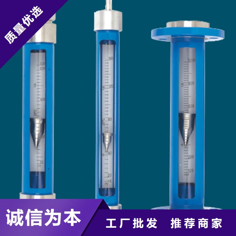 G10,氢气玻璃转子流量计订购
