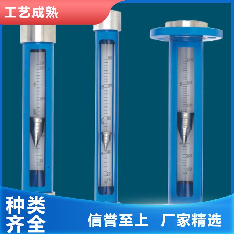G10_转子流量计专业厂家