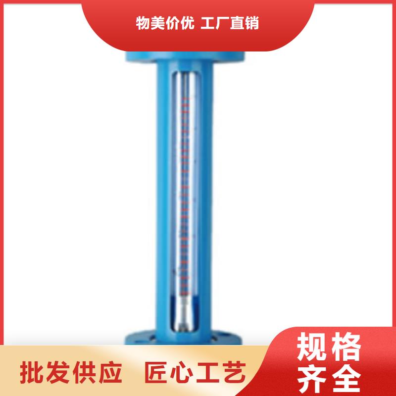 G10浮子流量计低价货源