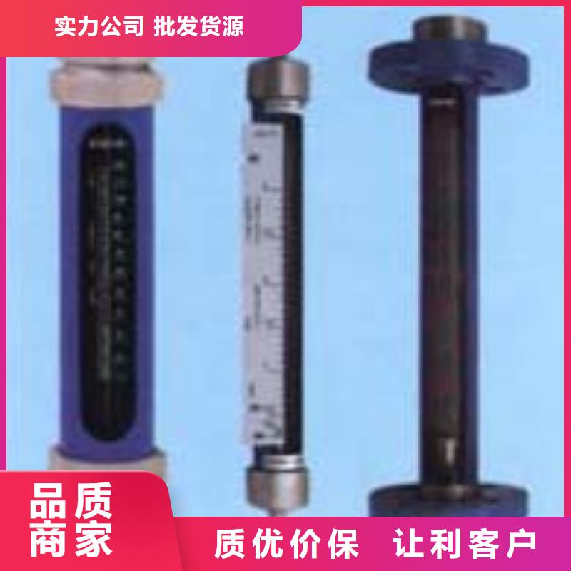 G10_转子流量计专业厂家