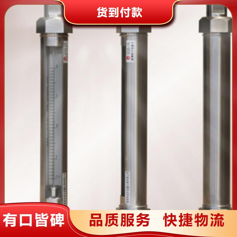 G10_转子流量计专业厂家