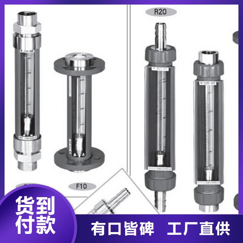 G10,氮气流量计质优价保