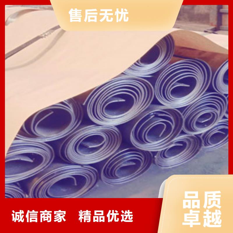 射线防护铅门质优价廉