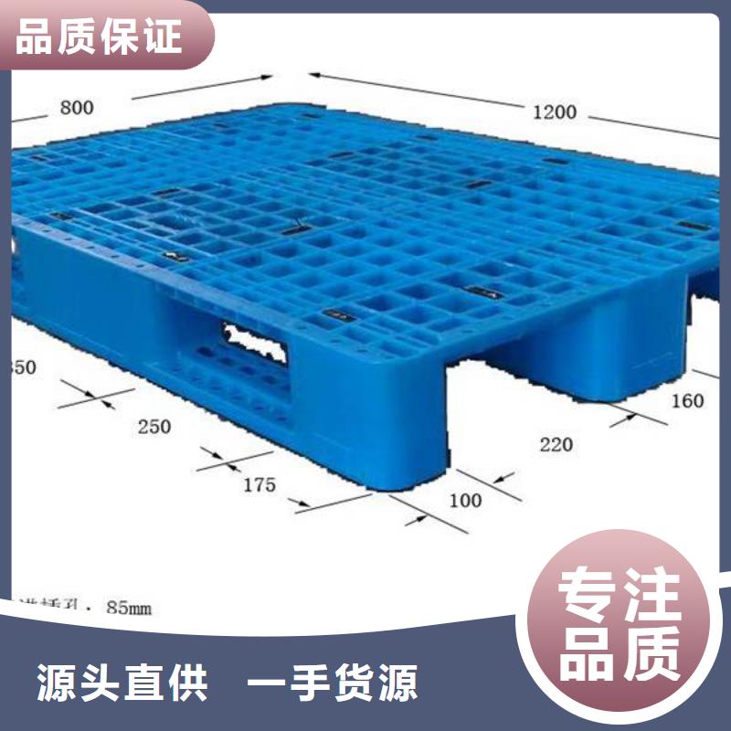 塑料托盘销售-视频-塑料托盘销售|沧州市|河间|青县|石家庄|唐山|秦皇岛|邢台