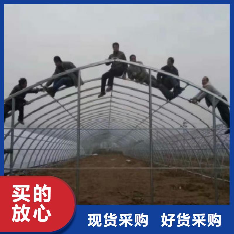C-视频-C(申达鑫通)覆盖地域辽宁省大连市瓦房店|金州|盘锦|营口|葫芦岛|锦州|抚顺