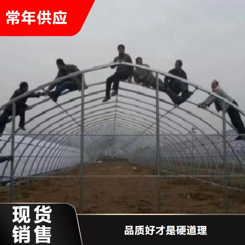 大棚管C诚信商家服务热情