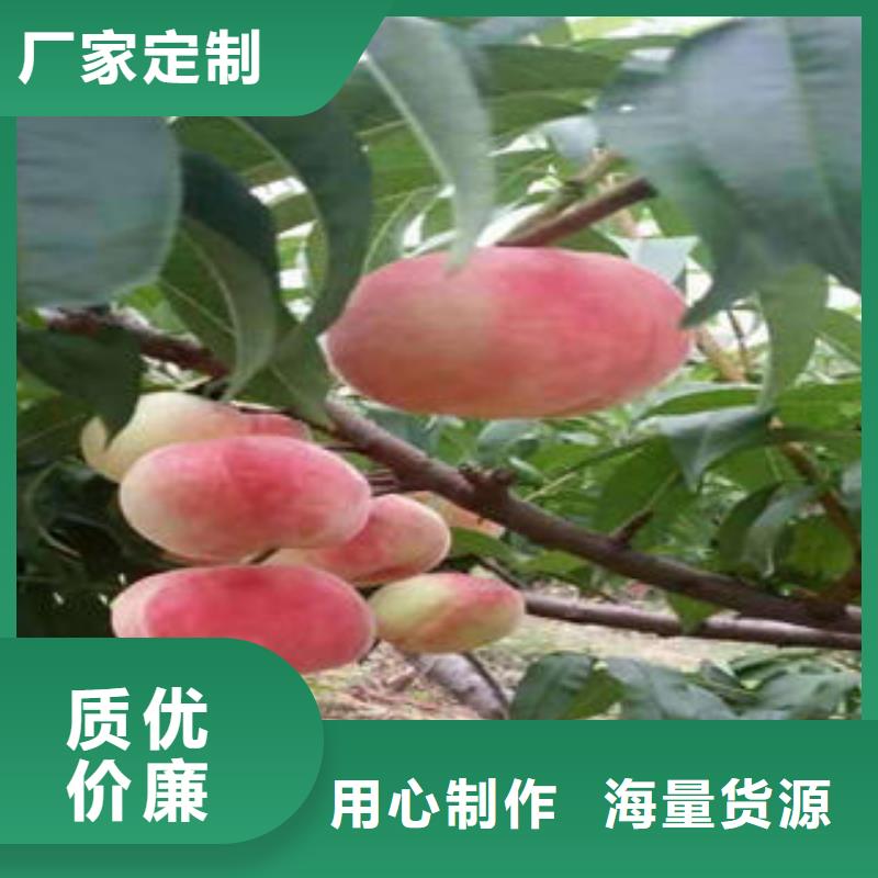 桃树苗-葡萄苗一站式服务