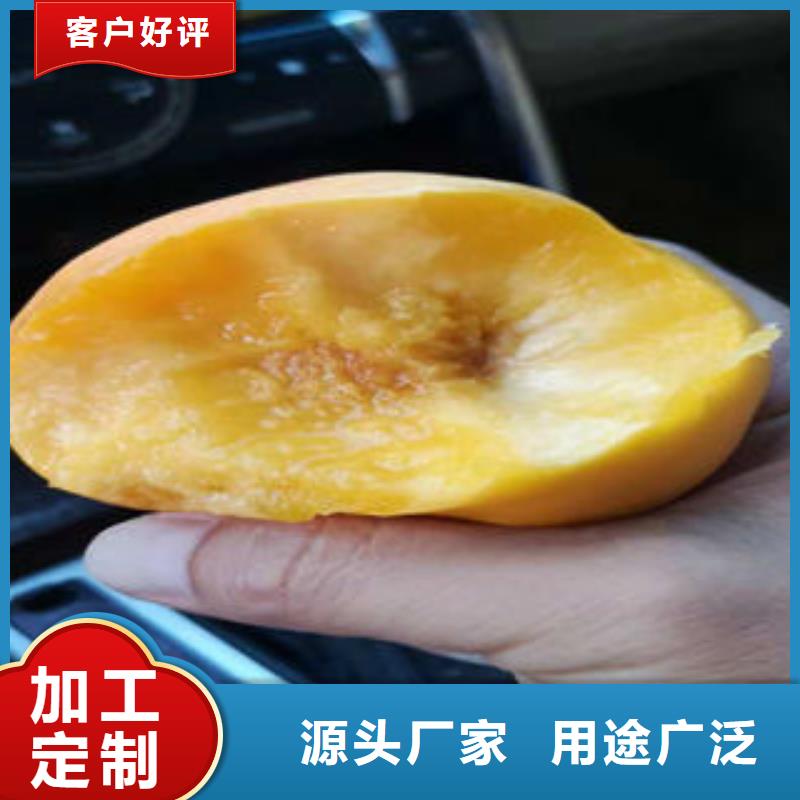 蓝莓苗视频-蓝莓苗(兴海)覆盖地域广东省云浮市云城|云安|河源|揭阳|潮州|江门|湛江