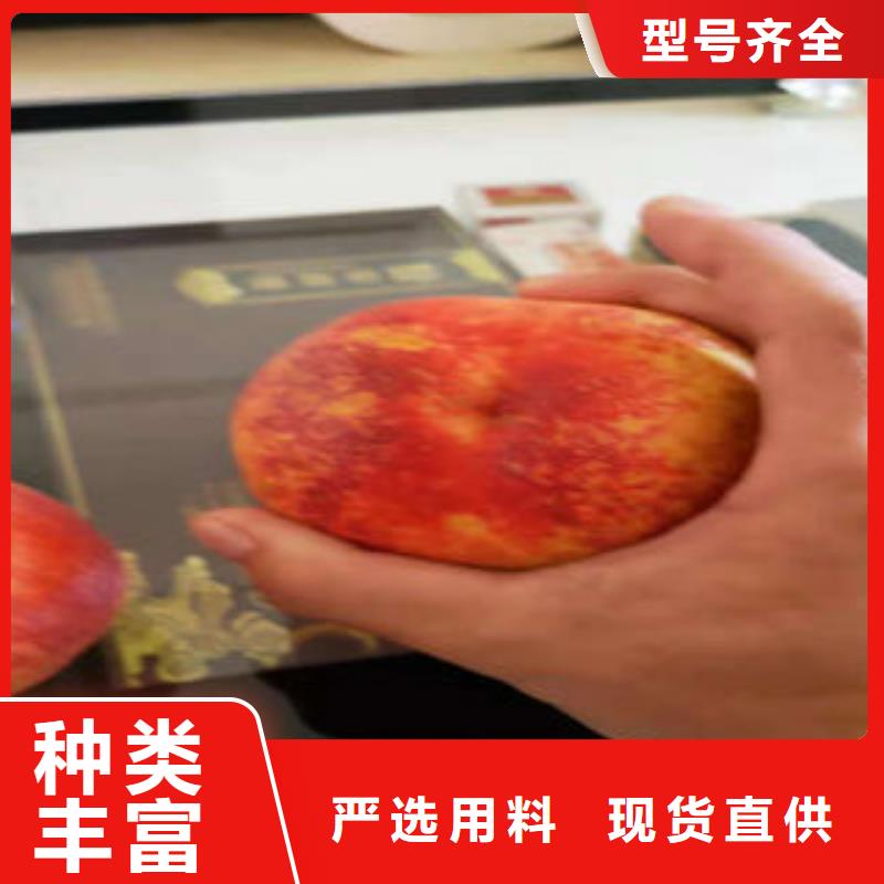 蓝莓苗视频-蓝莓苗-四川省凉山市会东|喜德|宜宾|绵阳|甘孜|广元|南充|遂宁|德阳(同城)厂家