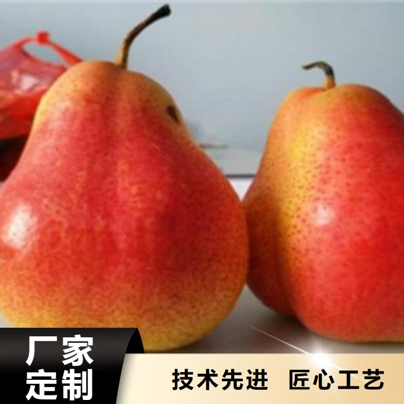 【梨树苗_桃树苗品牌大厂家】