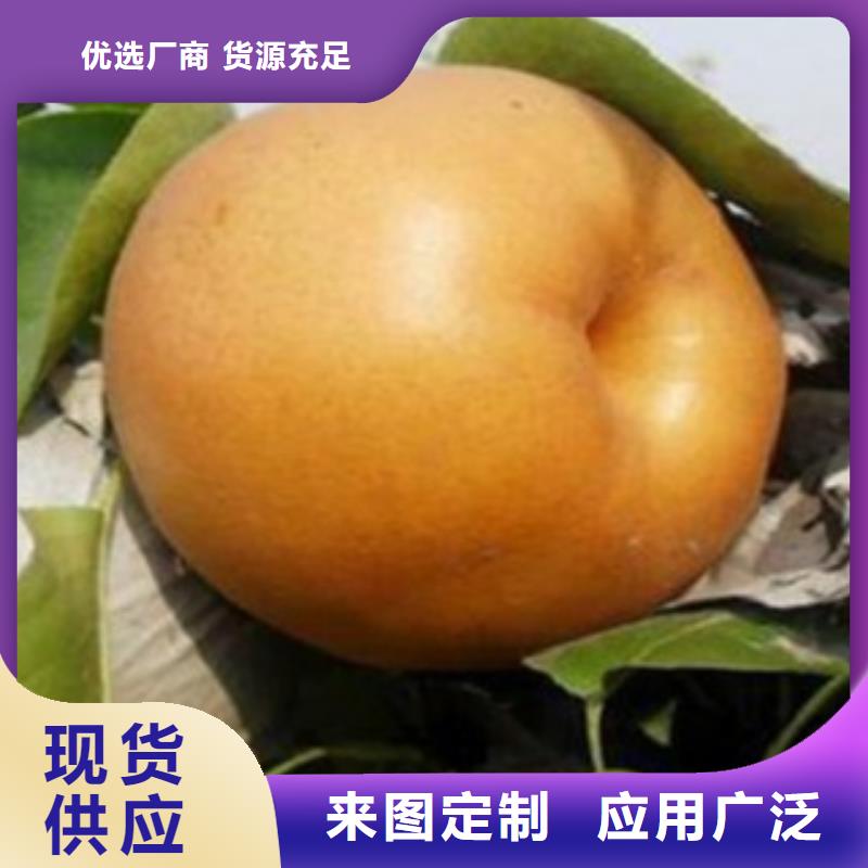 【梨树苗-花椒苗您想要的我们都有】