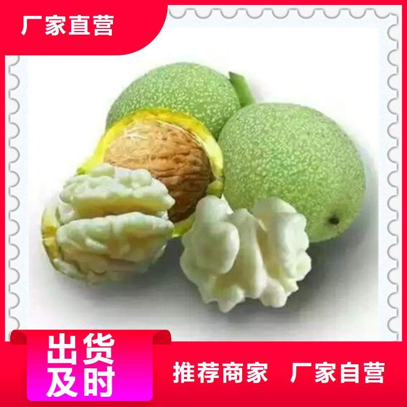 蓝莓苗-视频-江苏省徐州市|铜山|云龙|宿迁|无锡|扬州|南京|连云港蓝莓苗-兴海