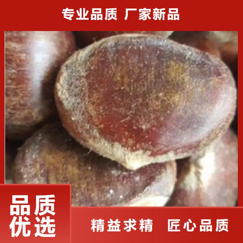 蓝莓苗视频-西固|七里河|嘉峪关|陇南|平凉|定西|酒泉|天水兴海蓝莓苗_ 兴海苗木种植社(兰州市分公司)